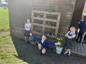 Sensory garden