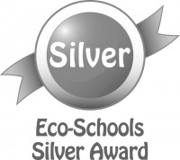 Silver-eco-award